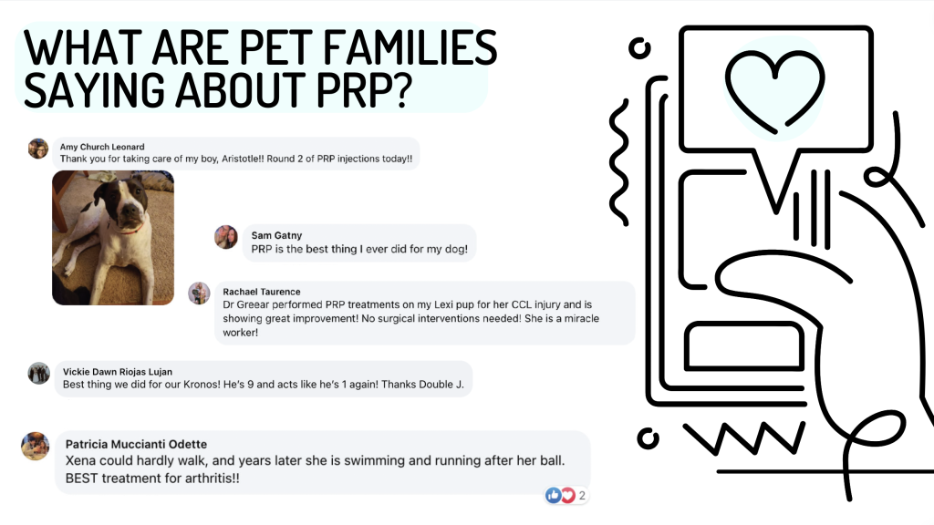 Pet Owner testimonials